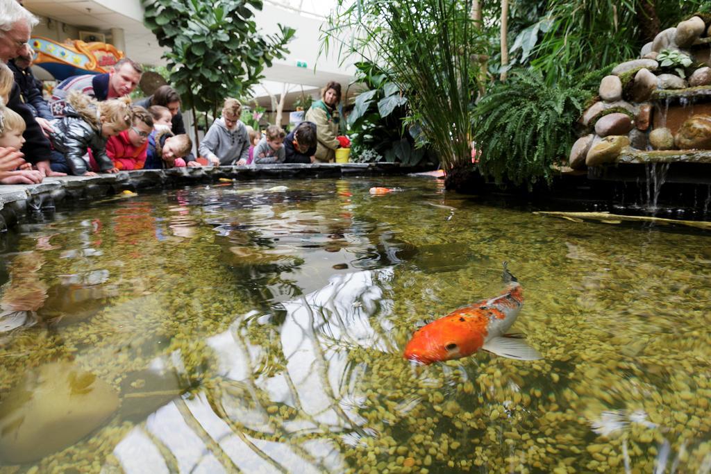 Center Parcs Zandvoort Beach Bagian luar foto